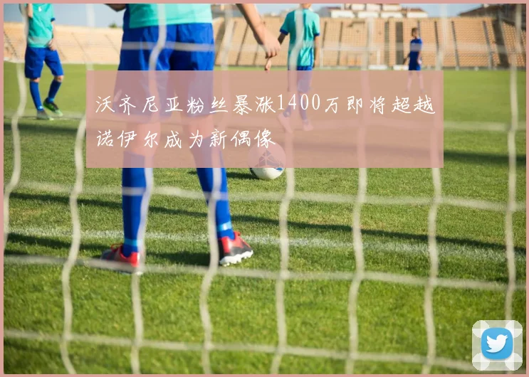 沃齐尼亚粉丝暴涨1400万即将超越诺伊尔成为新偶像