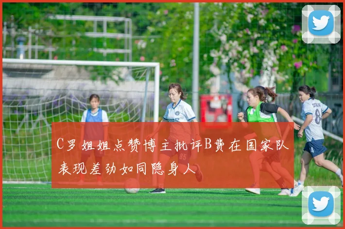 C罗姐姐点赞博主批评B费在国家队表现差劲如同隐身人